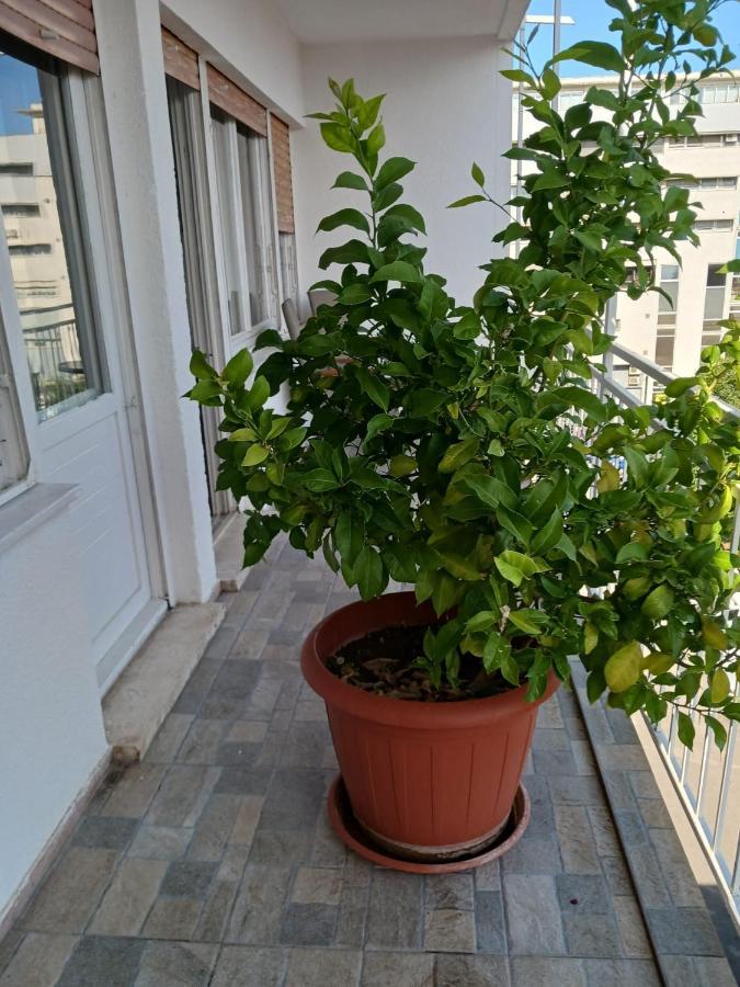 Room With Private Toilet And Balcony In City Center In Shared Apartment سبليت المظهر الخارجي الصورة